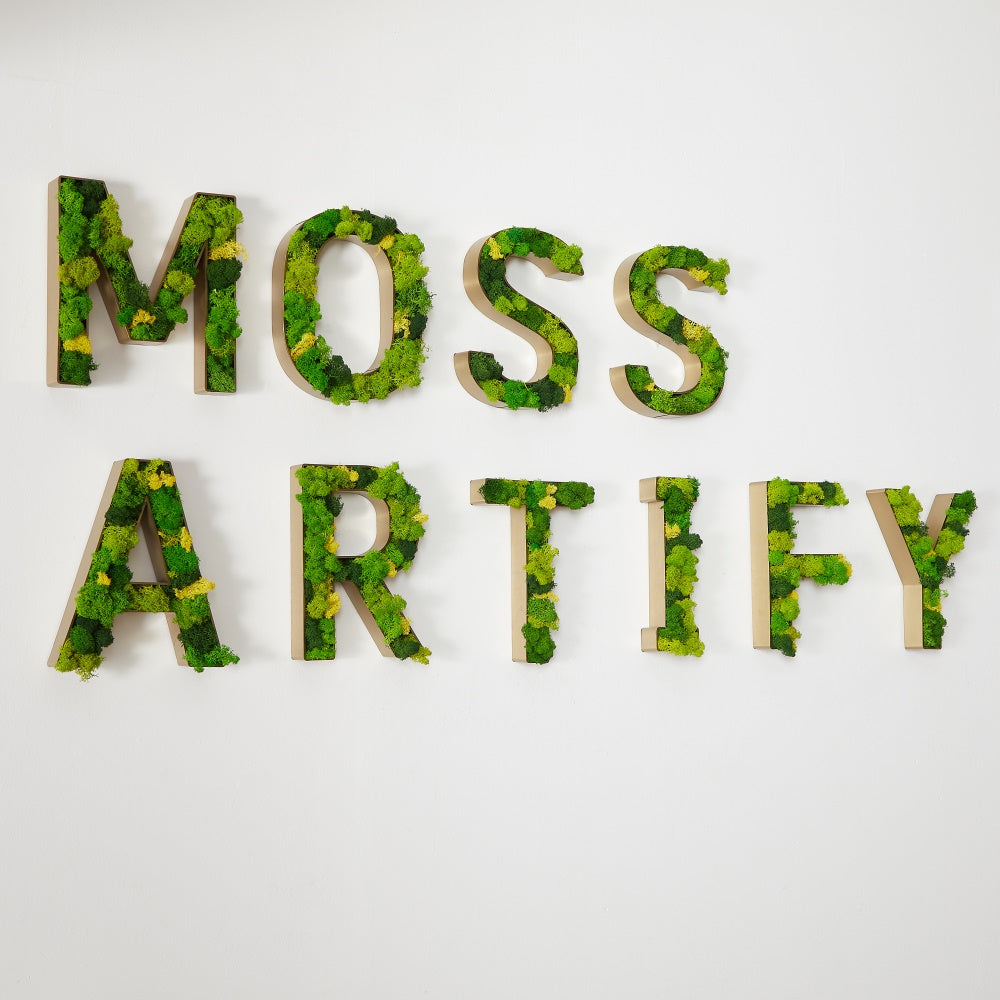 Moss Letter - HELLO Letter Art Moss Wall Decor - Mossartify