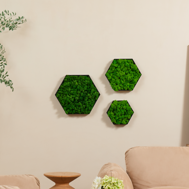 Preserved Moss Wall: Maintenance-Free Greenery for Your Home