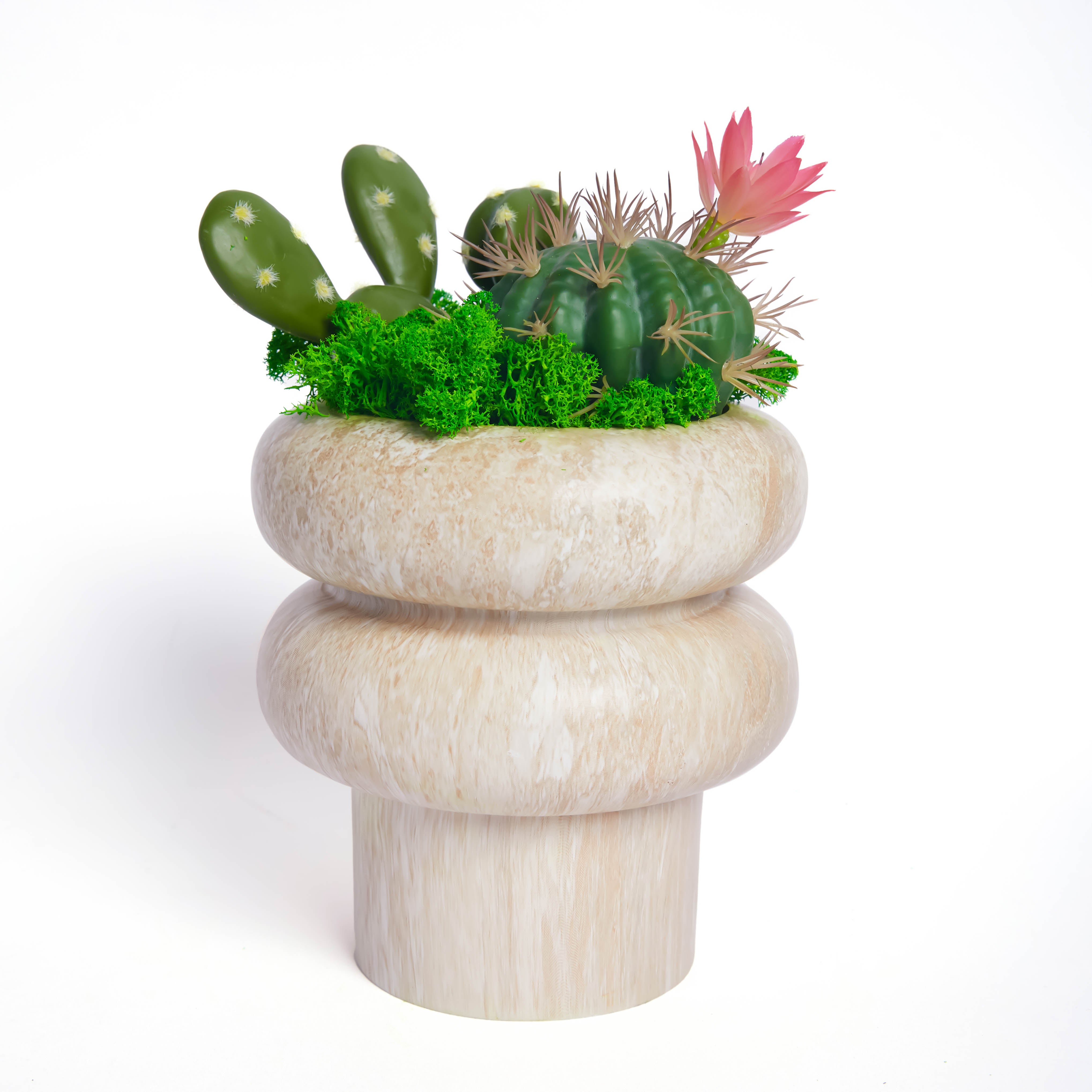 Ball Cactus Moss Desktop Bonsai