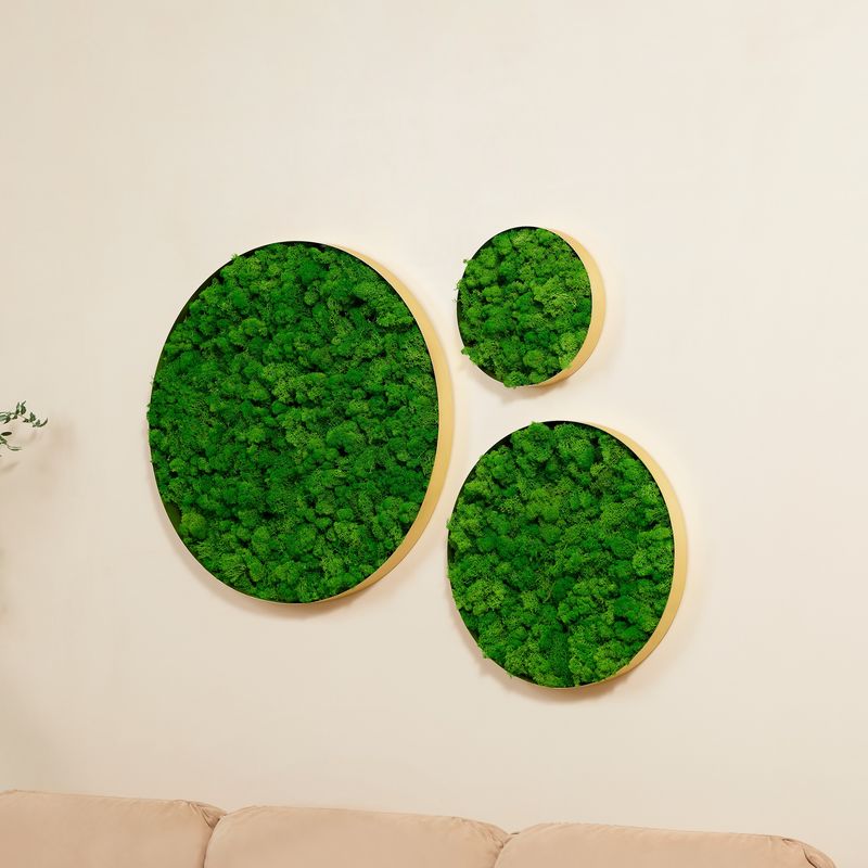 Moss Frame - Round Framed Moss Wall Decor - Mossartify