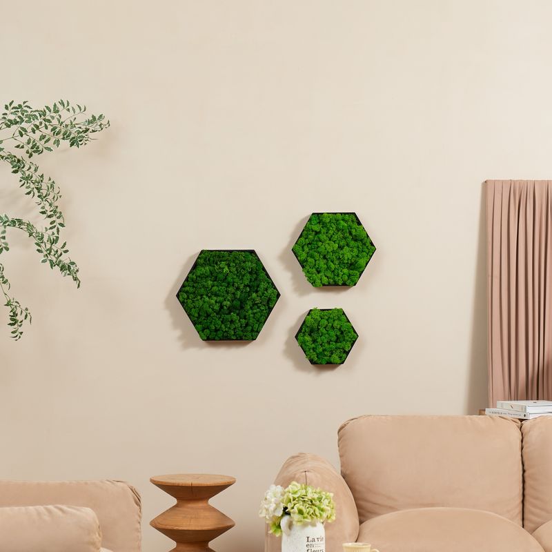Hexagonal Framed Moss Wall Decor