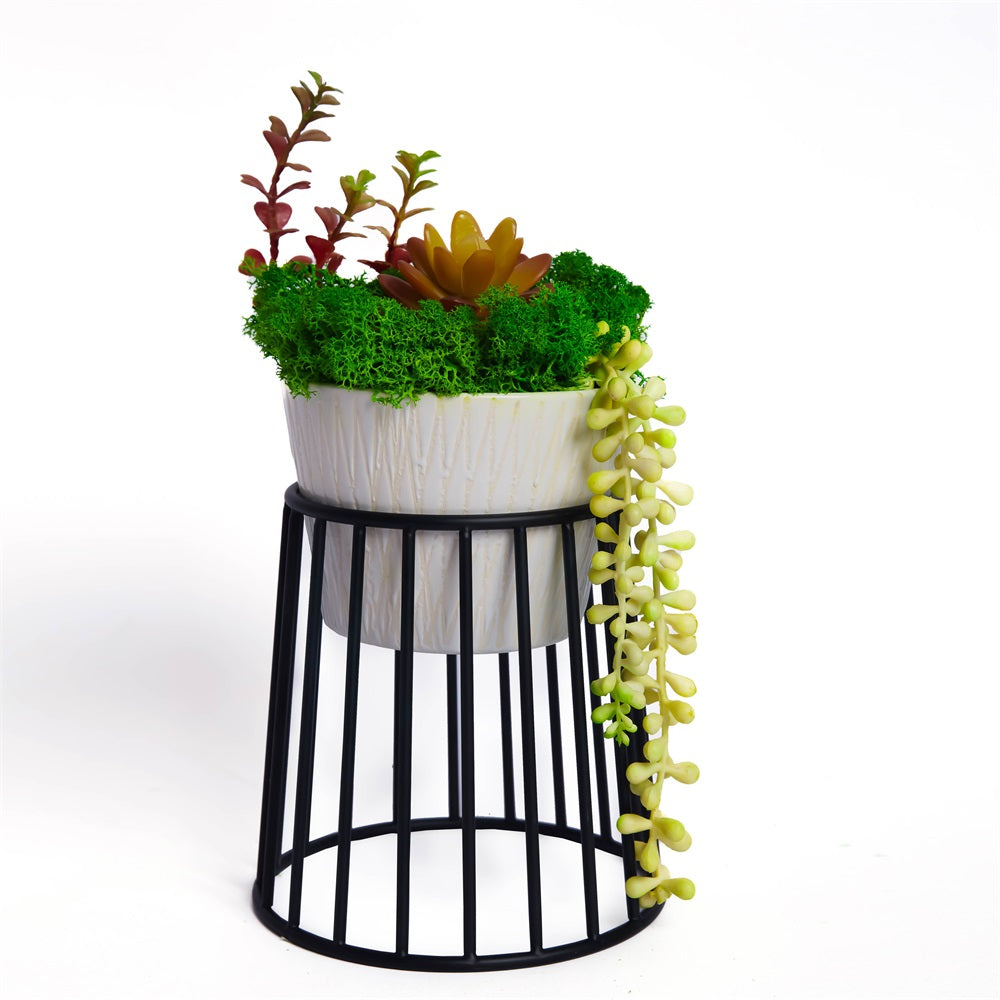 Succulent Moss Bonsai Table Decor with Pot Holder