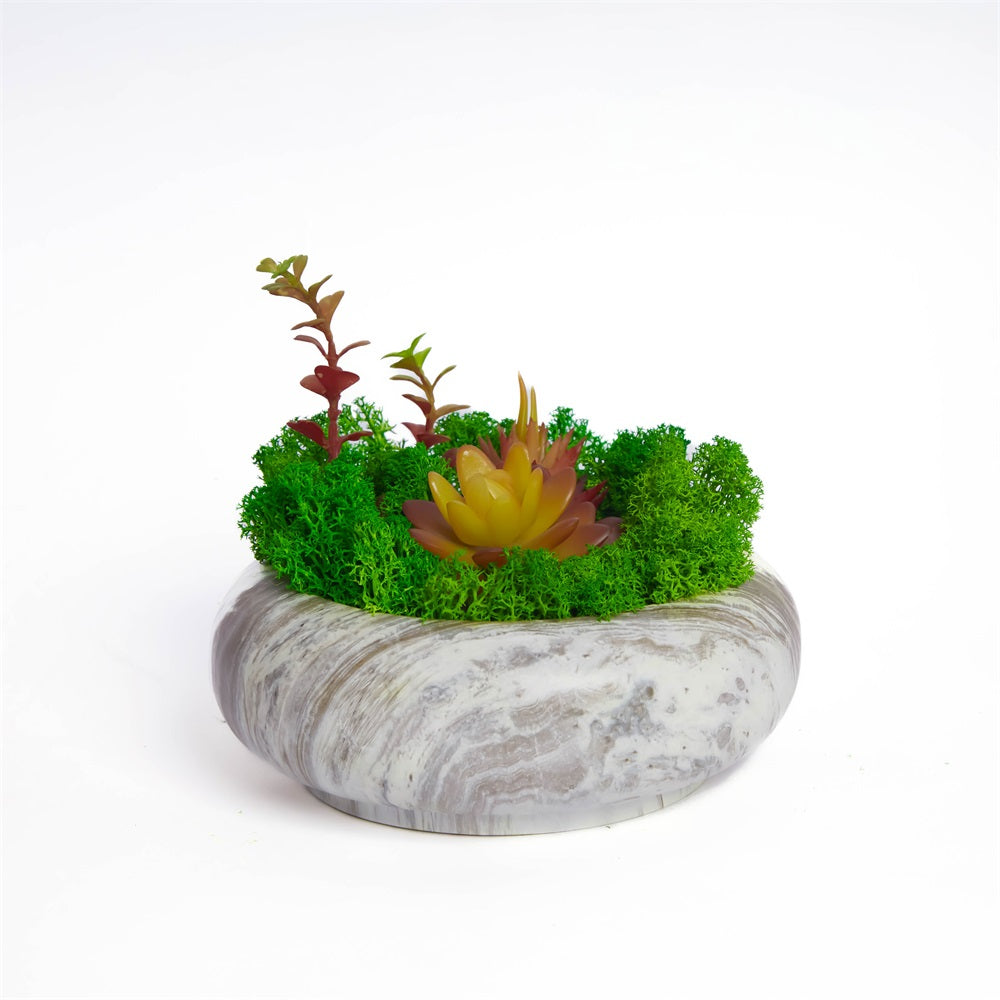 Succulent Moss Bowl Desktop Round Bonsai