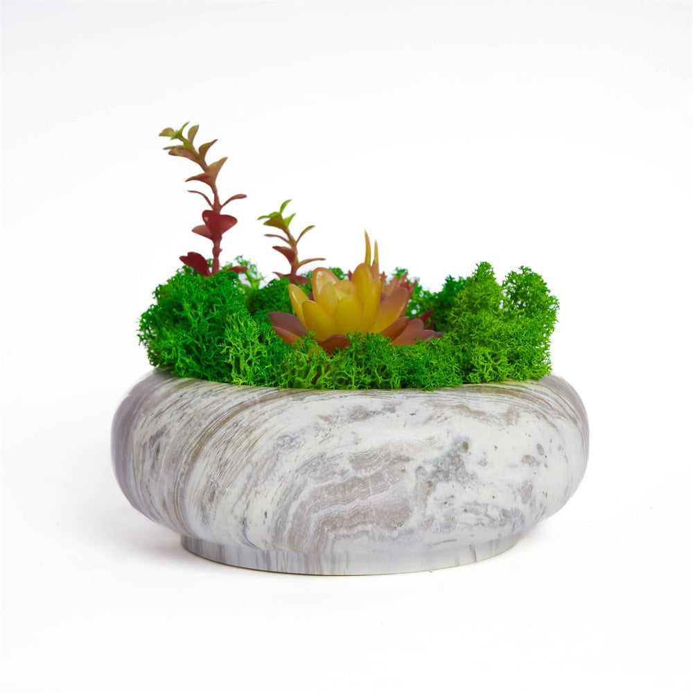 Succulent Moss Bowl Desktop Round Bonsai